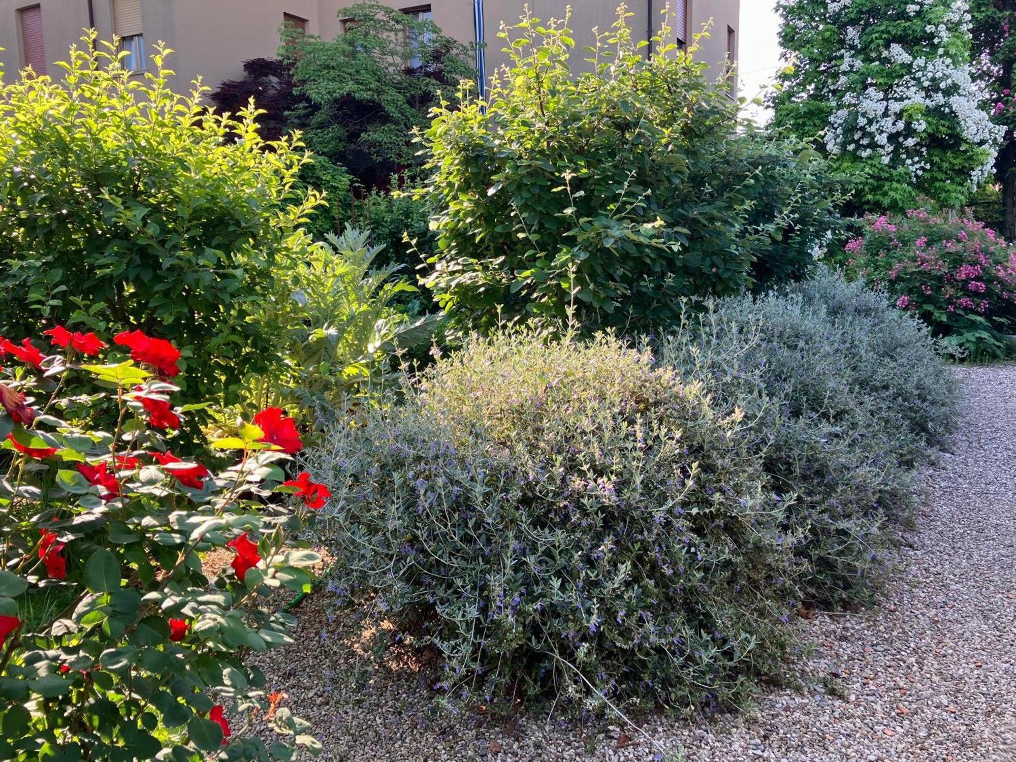 Casa Stucky Bed and Breakfast Udine Buitenkant foto
