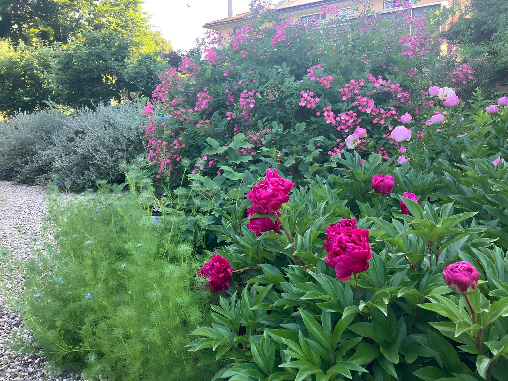 Casa Stucky Bed and Breakfast Udine Buitenkant foto