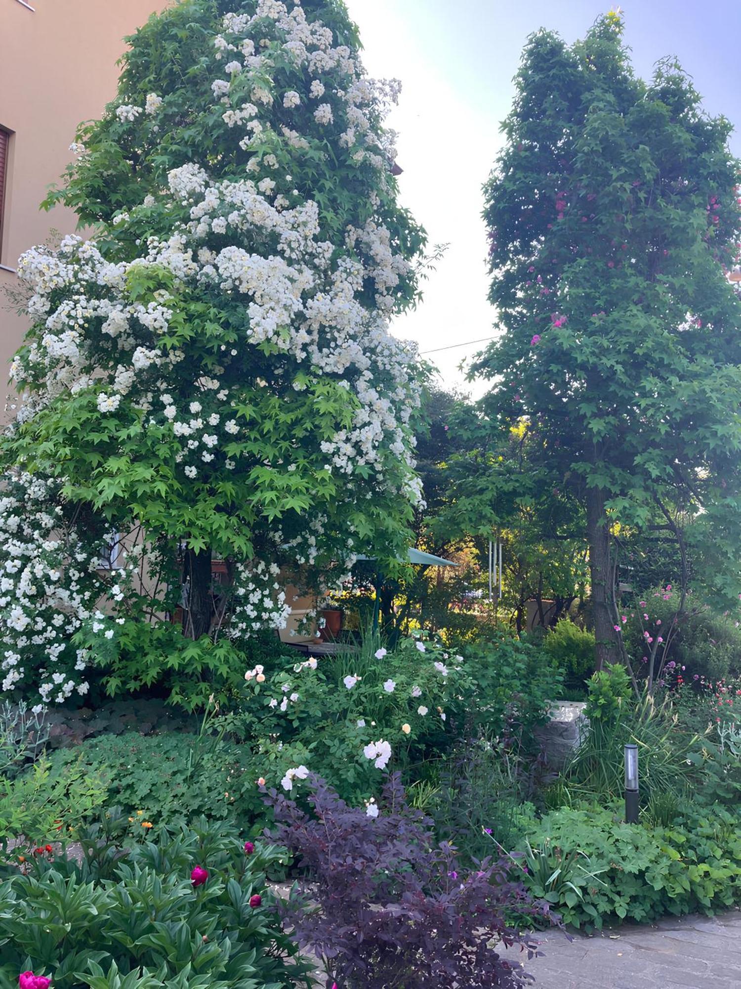 Casa Stucky Bed and Breakfast Udine Buitenkant foto